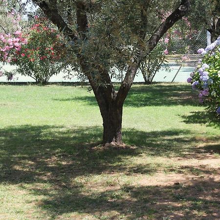 Domaine Le Clos Des Oliviers Sorbo-Ocagnano Εξωτερικό φωτογραφία
