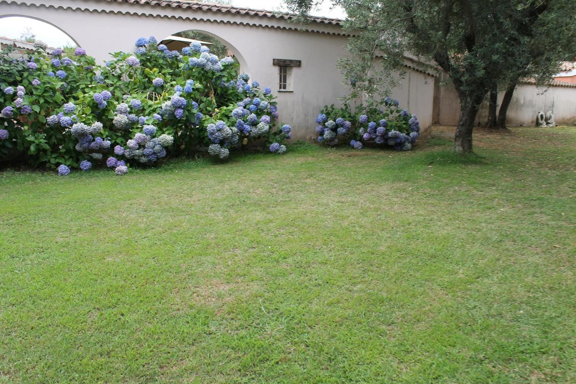 Domaine Le Clos Des Oliviers Sorbo-Ocagnano Εξωτερικό φωτογραφία