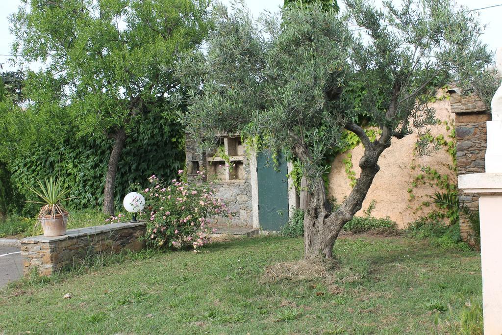 Domaine Le Clos Des Oliviers Sorbo-Ocagnano Εξωτερικό φωτογραφία