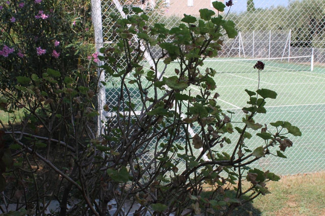 Domaine Le Clos Des Oliviers Sorbo-Ocagnano Εξωτερικό φωτογραφία